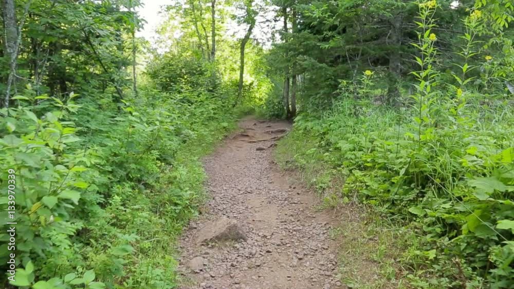 Smooth POV shot in the woods, perspective of walking a path through forest with trees and plants. Filmed in Northern Minnesota. Smooth POV shot in the woods, perspective of walking a path through forest with trees and plants. Filmed in Northern Minnesota.