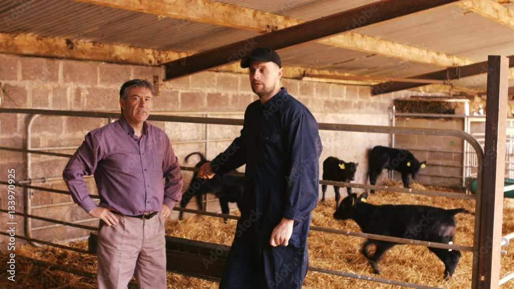 Cattle farmer interacting with a man Cattle farmer interacting with a man