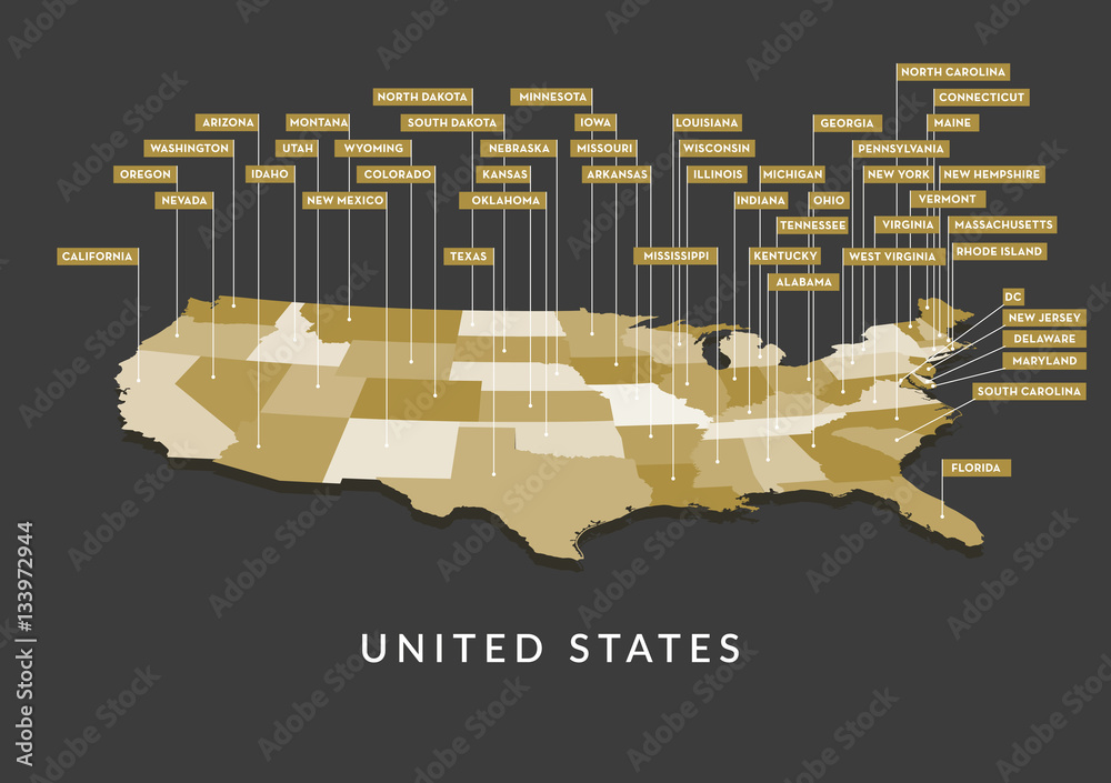 Fototapeta premium 3D mapa stanu USA
