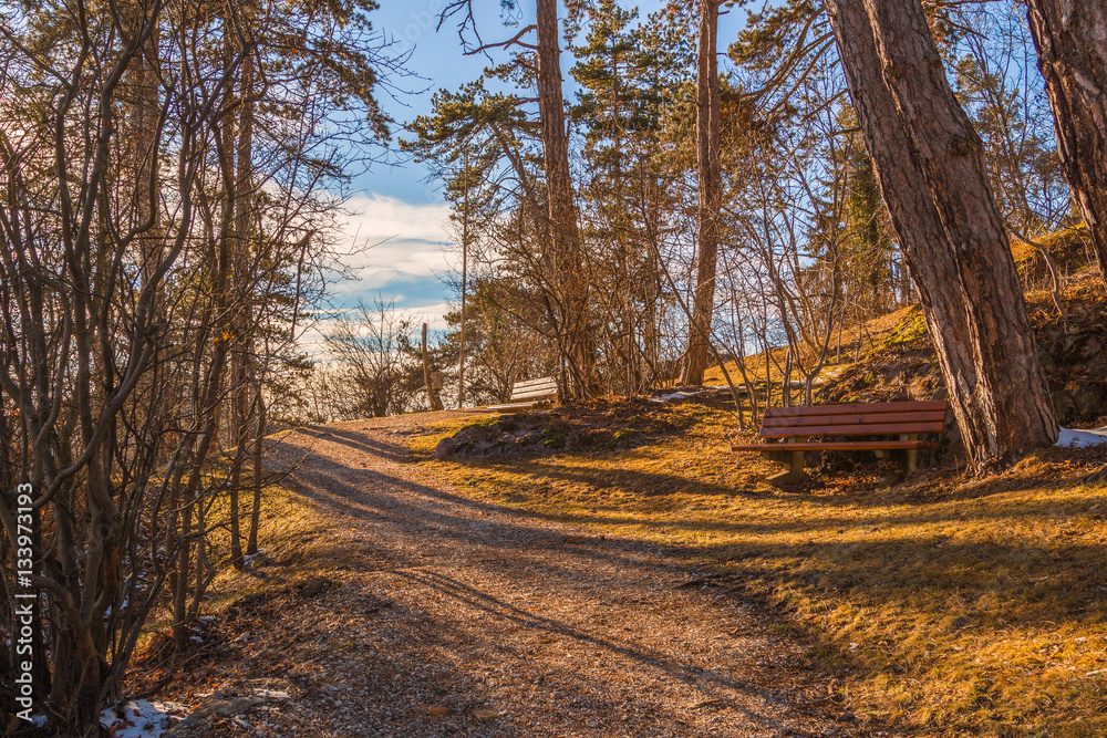 Fototapeta premium mountain path