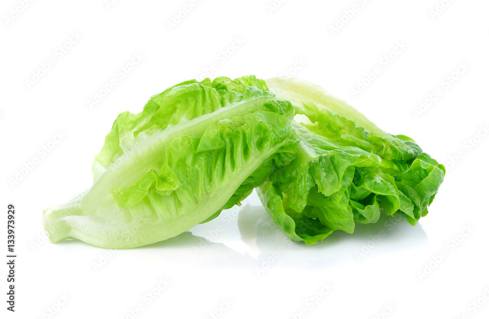 fresh baby cos (lettuce) on white background fresh baby cos (lettuce) on white background