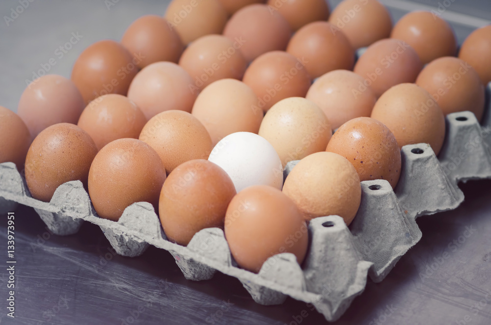 One white egg in the box horizontal One white egg in the box horizontal