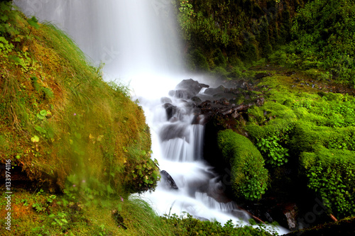 Beautiful water falls in Oregon  USA.