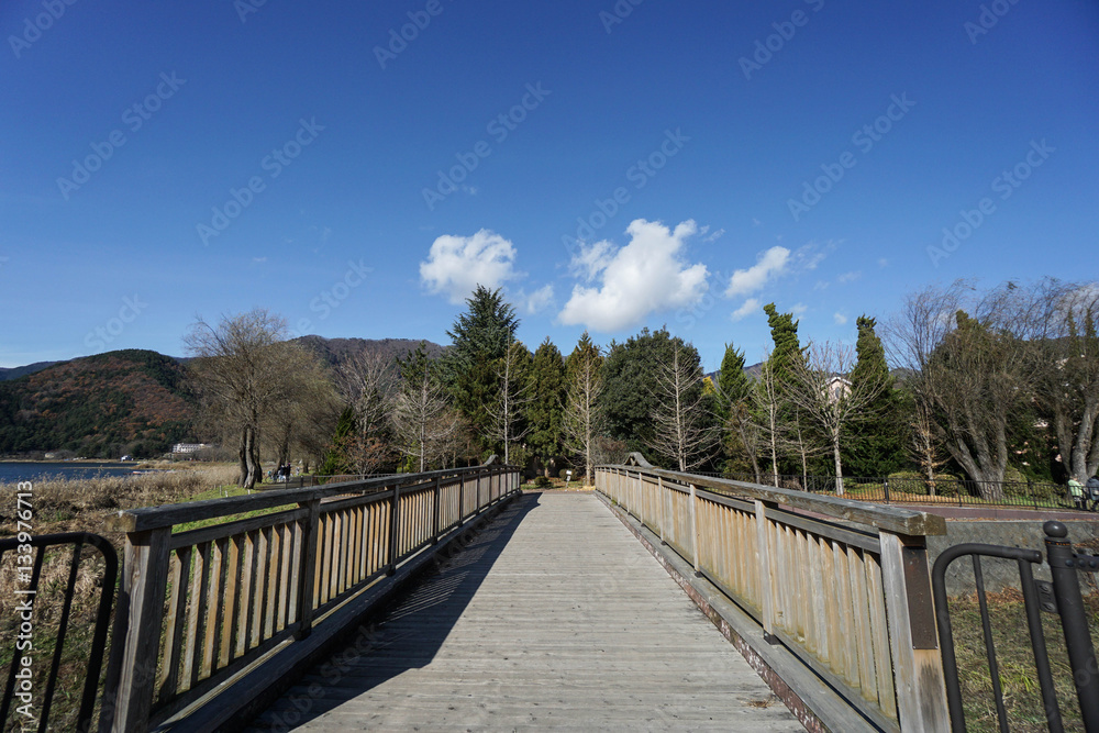 wooden walkway in public park