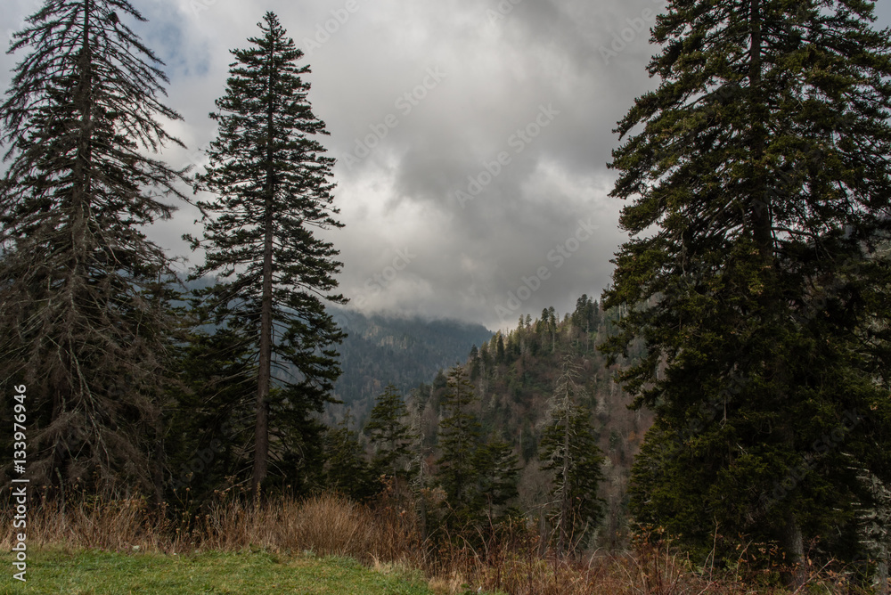 Late fall at the Great Smoky Mountains National Park Late fall at the Great Smoky Mountains National Park
