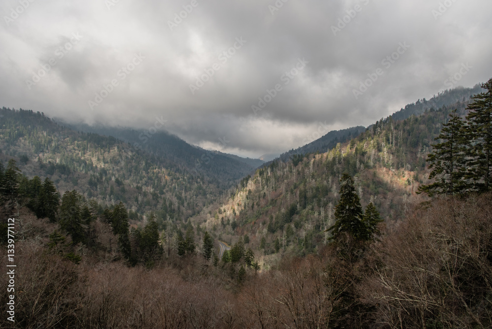 Late fall at the Great Smoky Mountains National Park