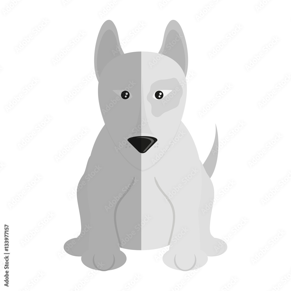 dog animal cartoon icon over white background. colorful design. vector illustration