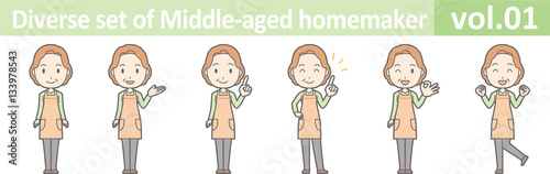 Diverse set of middle-aged homemaker, EPS10 vol.01