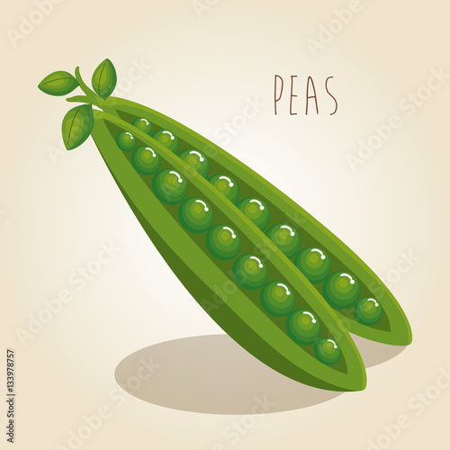 peas fresh vegetable icon vector illustration design