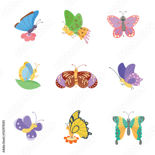 Colorful butterflies vector.