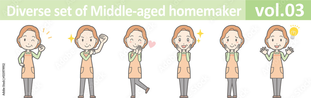 Diverse set of middle-aged homemaker, EPS10 vol.03