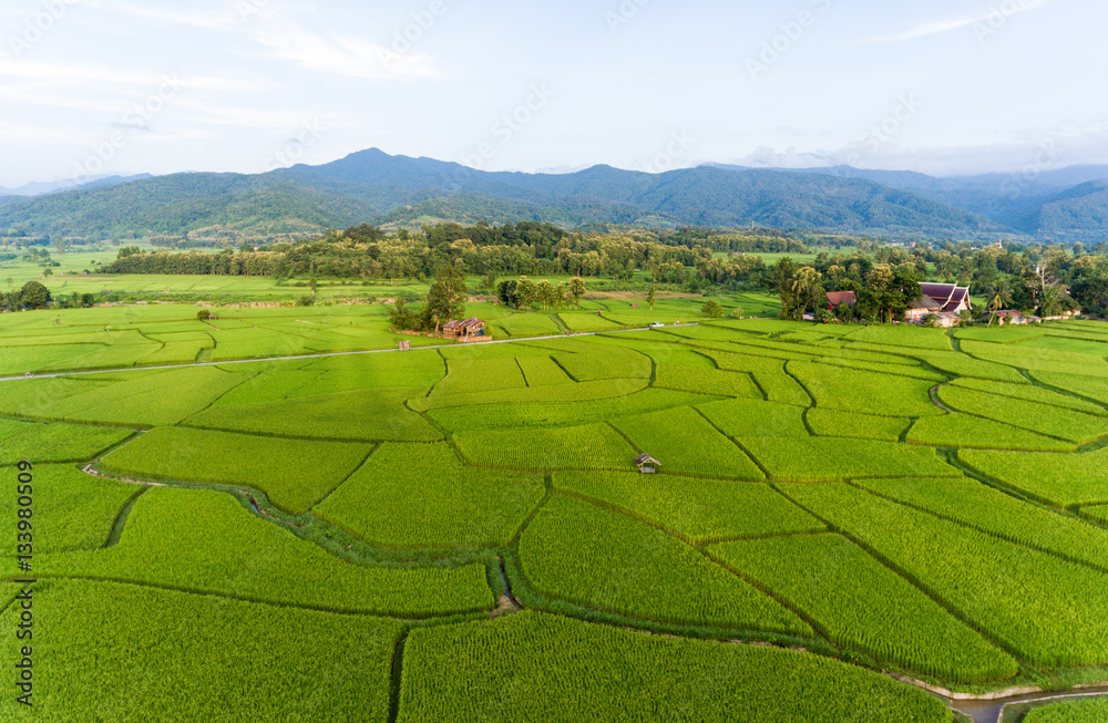 Rice farm Map, Bird Eye View