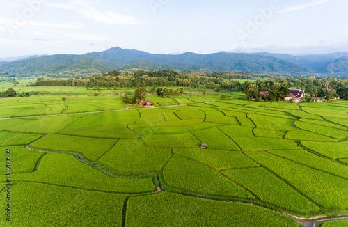 Rice farm Map, Bird Eye View