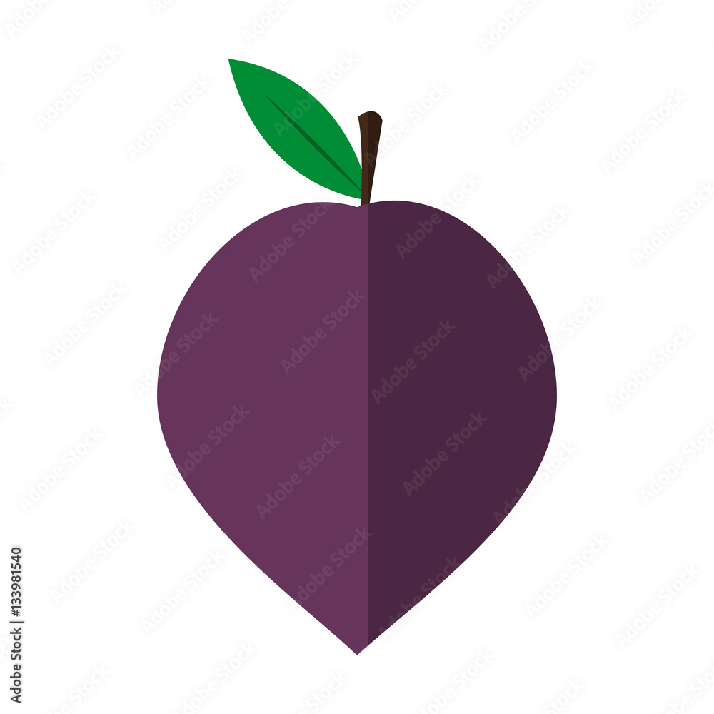 Fototapeta premium plum fruit icon over white background. colorful design. vector illustration