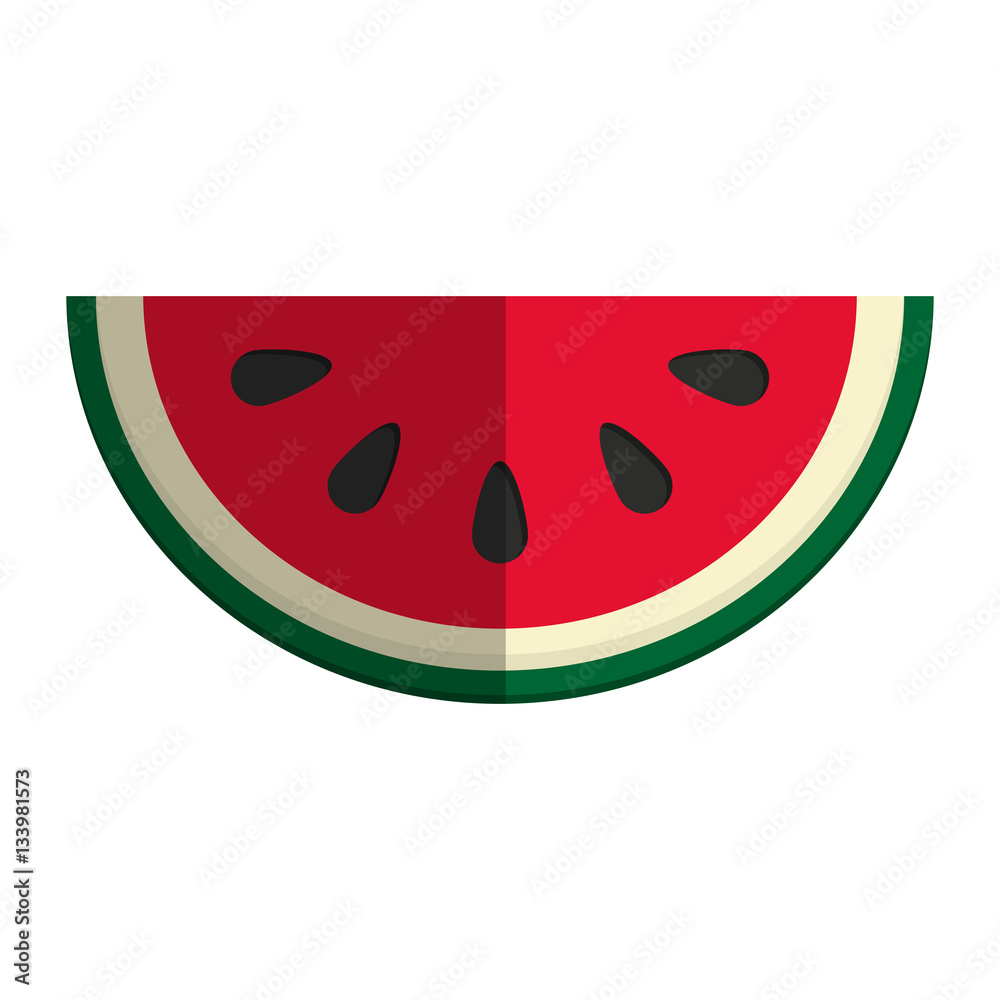 Obraz premium watermelon fruit icon over white background. colorful design. vector illustration