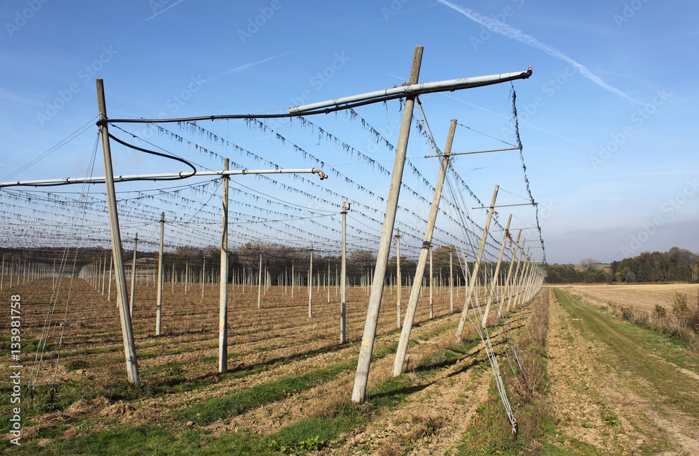 Fototapeta premium Landwirtschaft