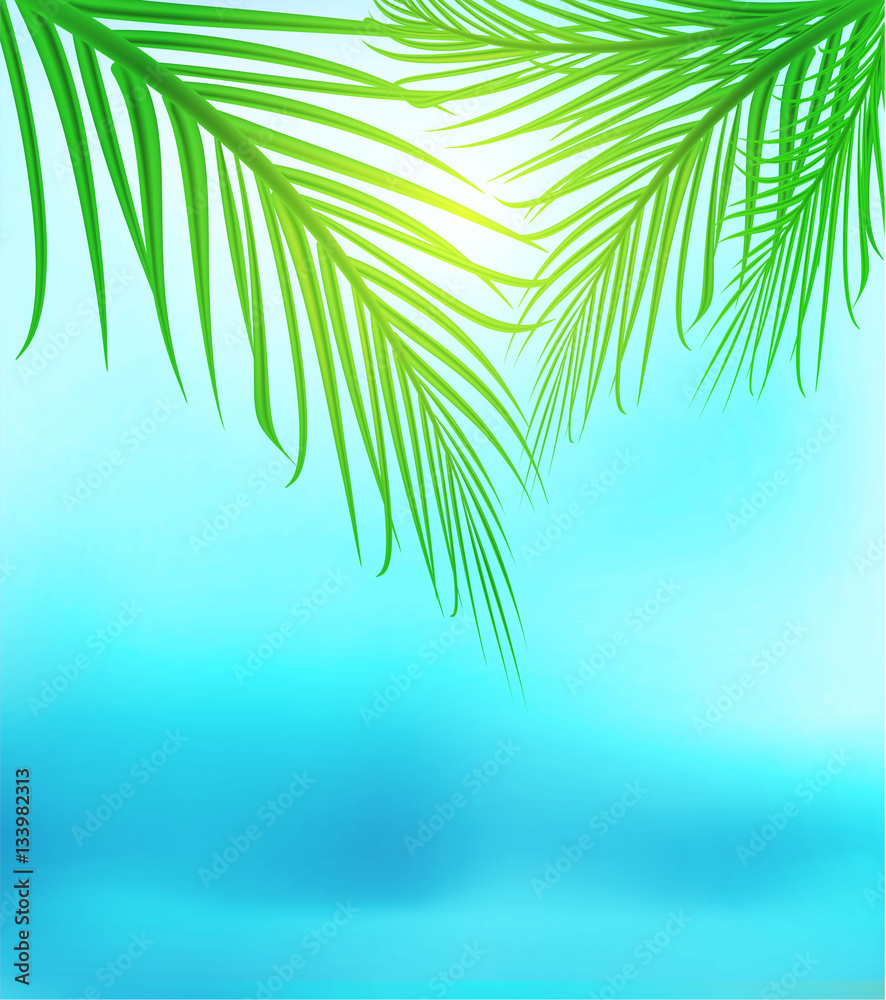 Fototapeta premium hot sun shining through palm vector poster