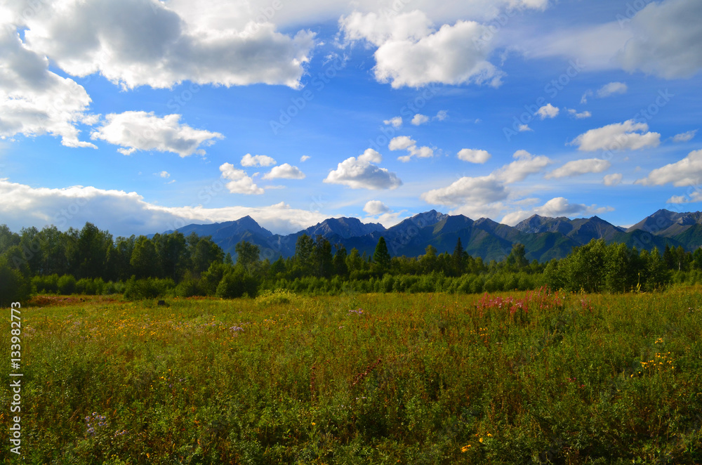 The harsh and majestic Sayan mountains. The harsh and majestic Sayan mountains.