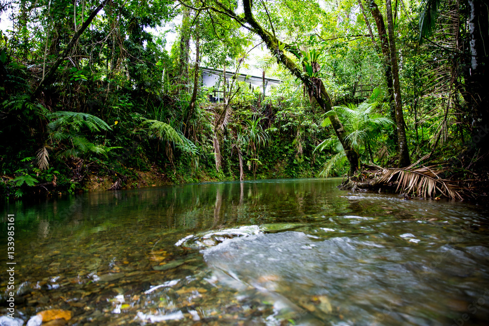 Daintree Rainforest River Daintree Rainforest River