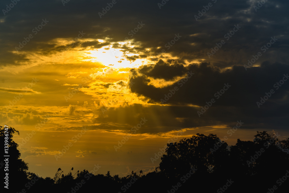 Silhouettes of the trees. Beautiful sunset sky, color and dark t