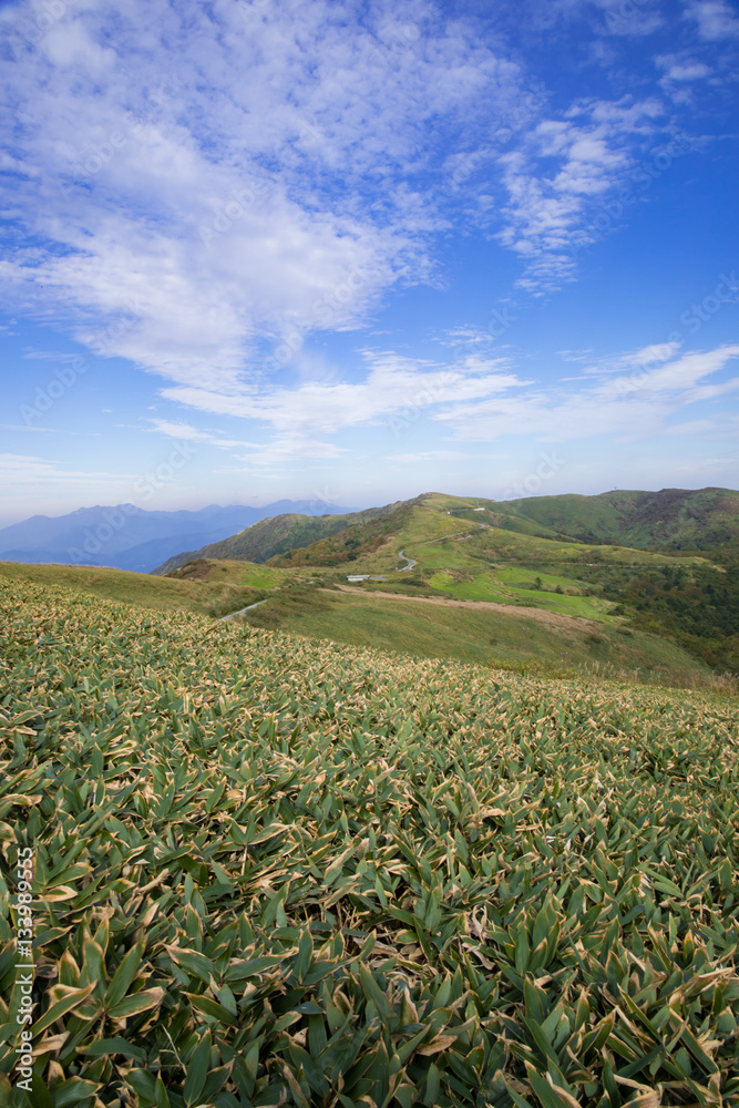 大川嶺からの景色（愛媛）