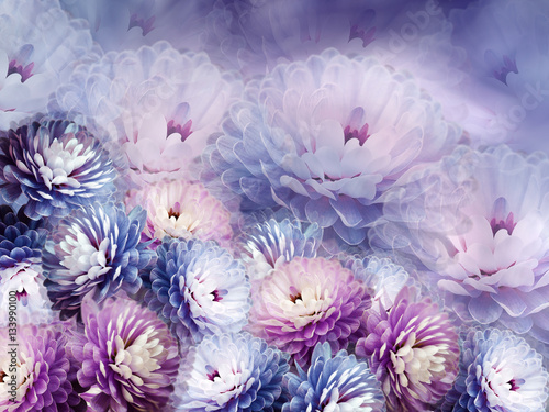 Fototapeta Naklejka Na Ścianę i Meble -  flowers chrysanthemum on blurry background. blue-violet-pink  background. floral collage. flower composition.