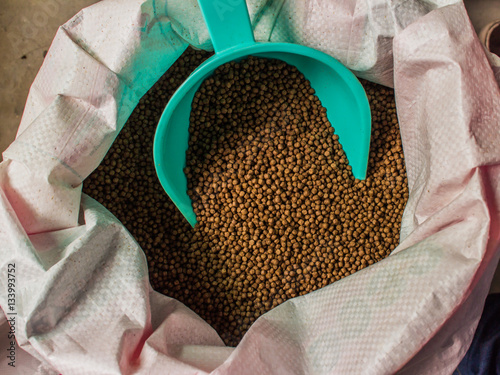fish feed in bags