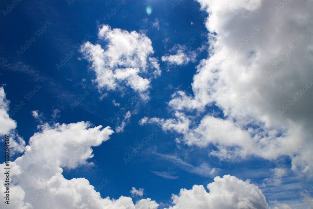 Fototapeta premium 青空