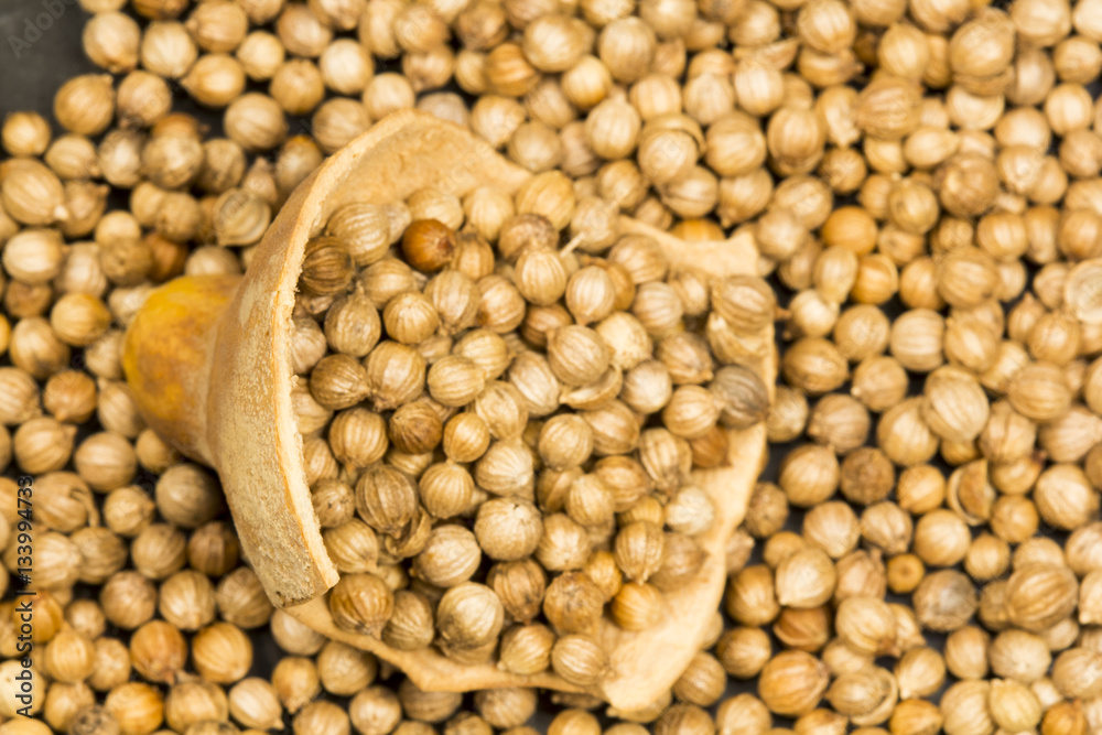 Coriander seeds with pumpkin shell