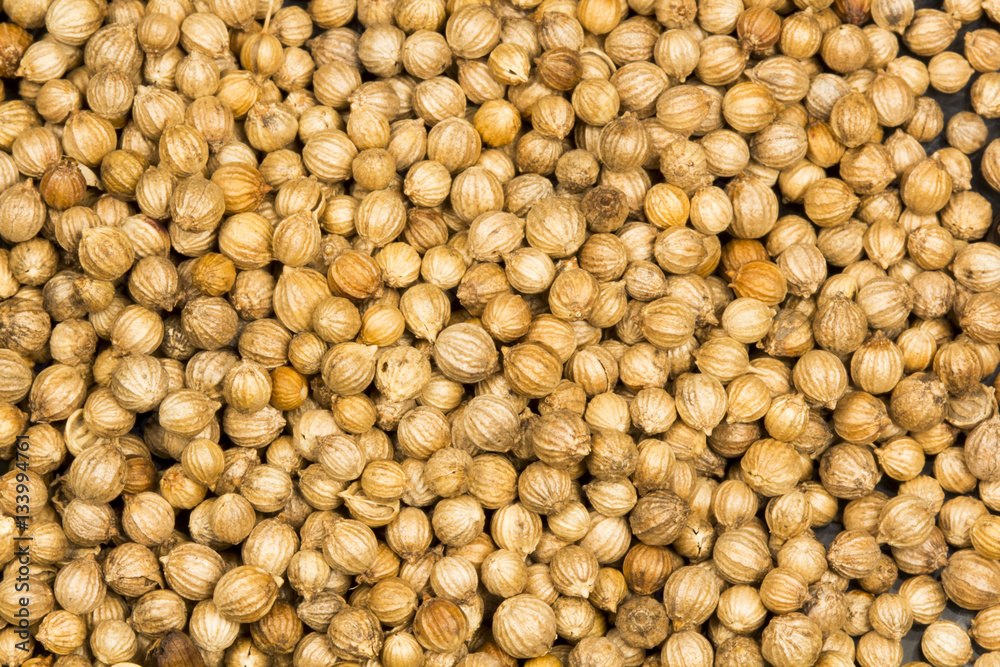 Coriander seeds texture Coriander seeds texture