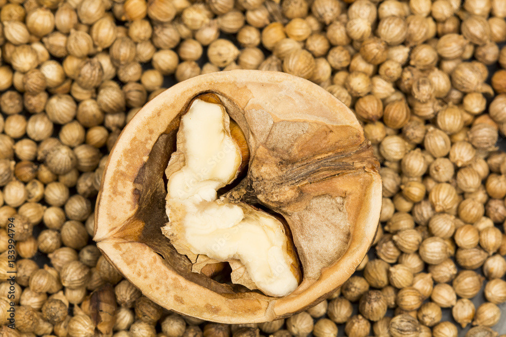 Coriander seeds with walnut halves Coriander seeds with walnut halves