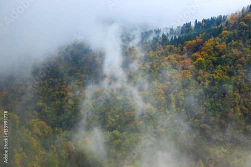 Fantastic landscape of mountain forest in clouds, fog or mist