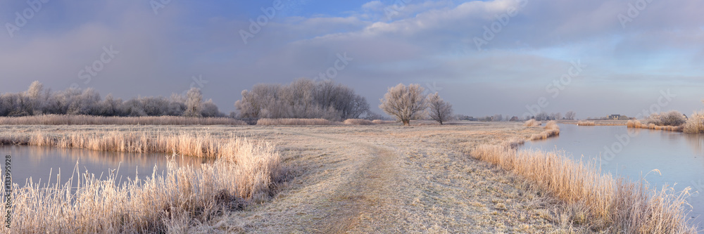 Frozen landscape in The Netherlands in early morning sunlight Frozen landscape in The Netherlands in early morning sunlight