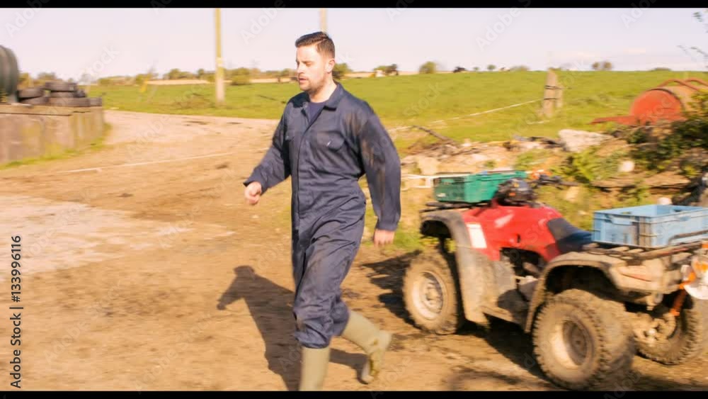 Cattle farmer walking towards barn Cattle farmer walking towards barn
