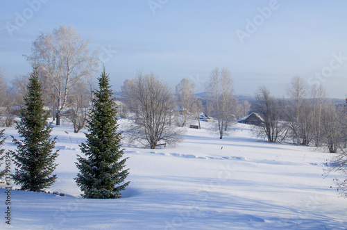 Beautiful landscape of winter to Siberia     © rosetata