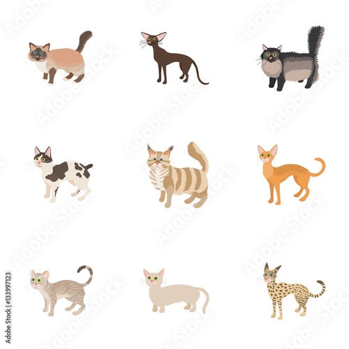 Cat family icons set  cartoon style