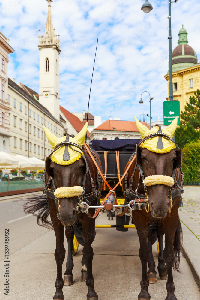 Vienna. A carriage with two horses