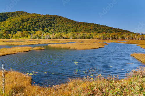 japanese landscape - ozegahara - katashina - gunma