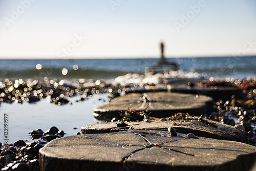 Wooden breakwaters on a shore of the Baltic Sea