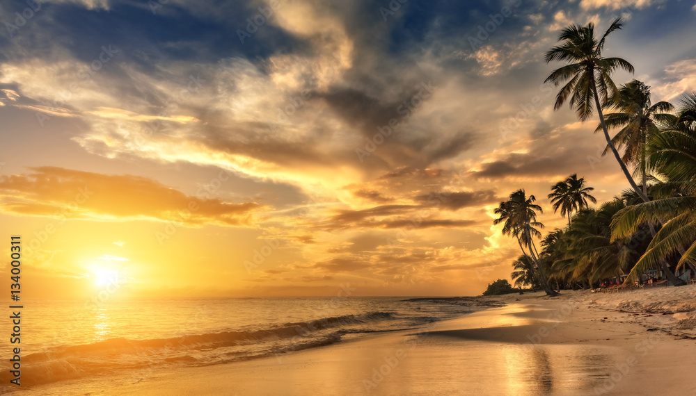 Fototapeta premium Beautiful sunset over the sea with a view at palms on the white beach on a Caribbean island