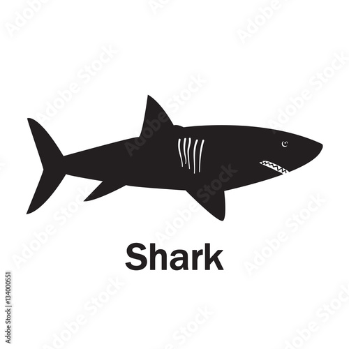 Shark black symbol on the white text