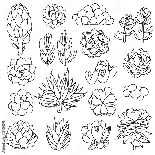 Isolated black outlines of succulents
