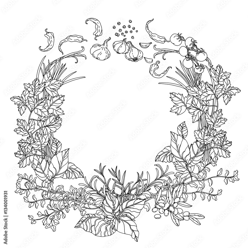 italian cuisine coloring book italian cuisine coloring book