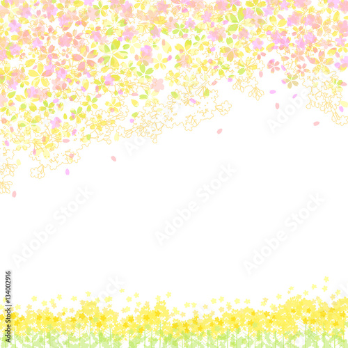 桜　菜の花　背景