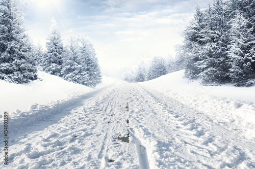 winter road  © magdal3na