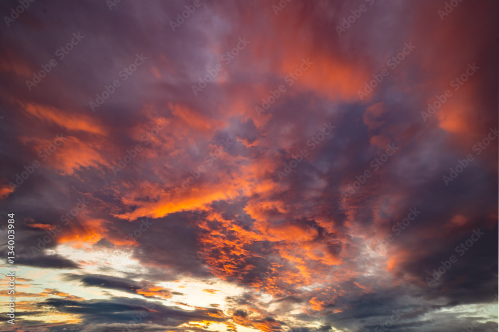 Obraz premium dramatic red sky during sunset