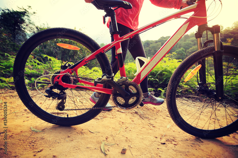 young woman riding mountain bike on forest trail young woman riding mountain bike on forest trail