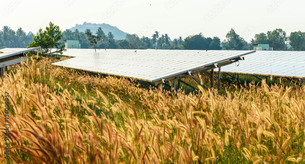 Fototapeta premium background of photovoltaic modules for renewable energy