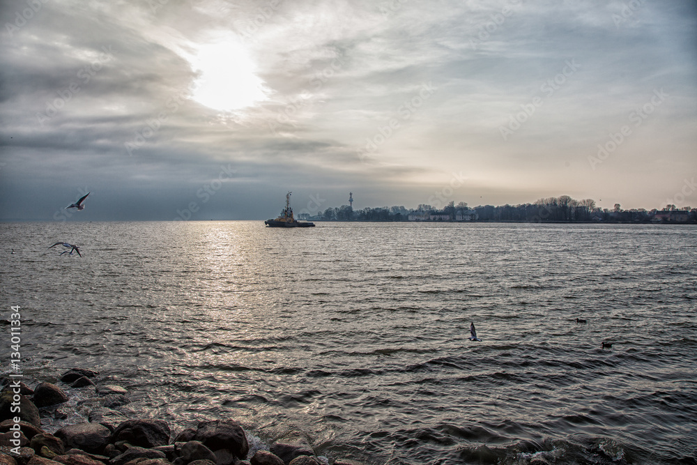 shore of the lake in autumn