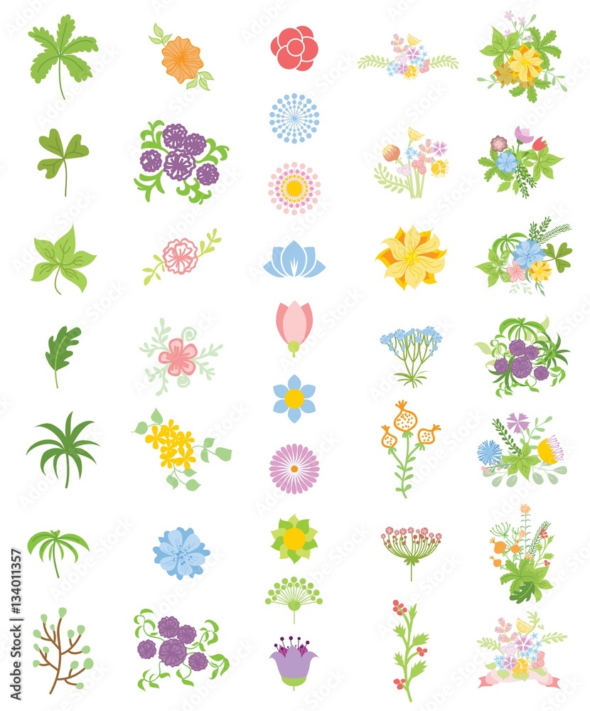 Colorful floral collection with flowers and leaves